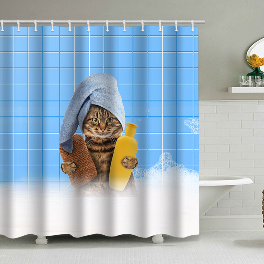 파란 목욕 고양이