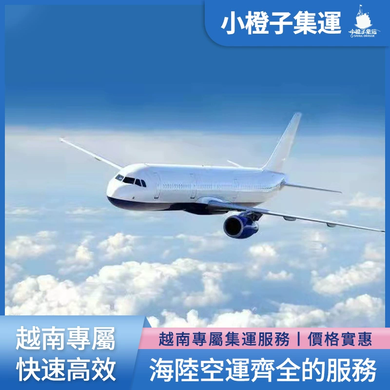 Международные перевозки внутренних во Вьетнам специальная линия сбора платежей для обычных товаров логистики международных маршрутов полный кабинет