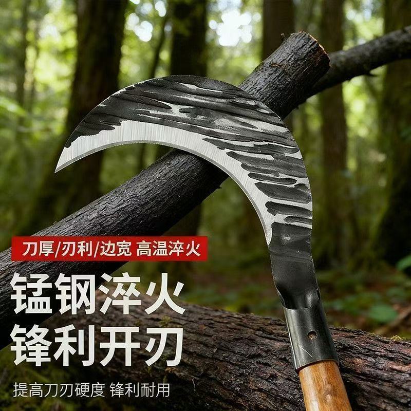 微信图片_20251226145811_556_33.jpg