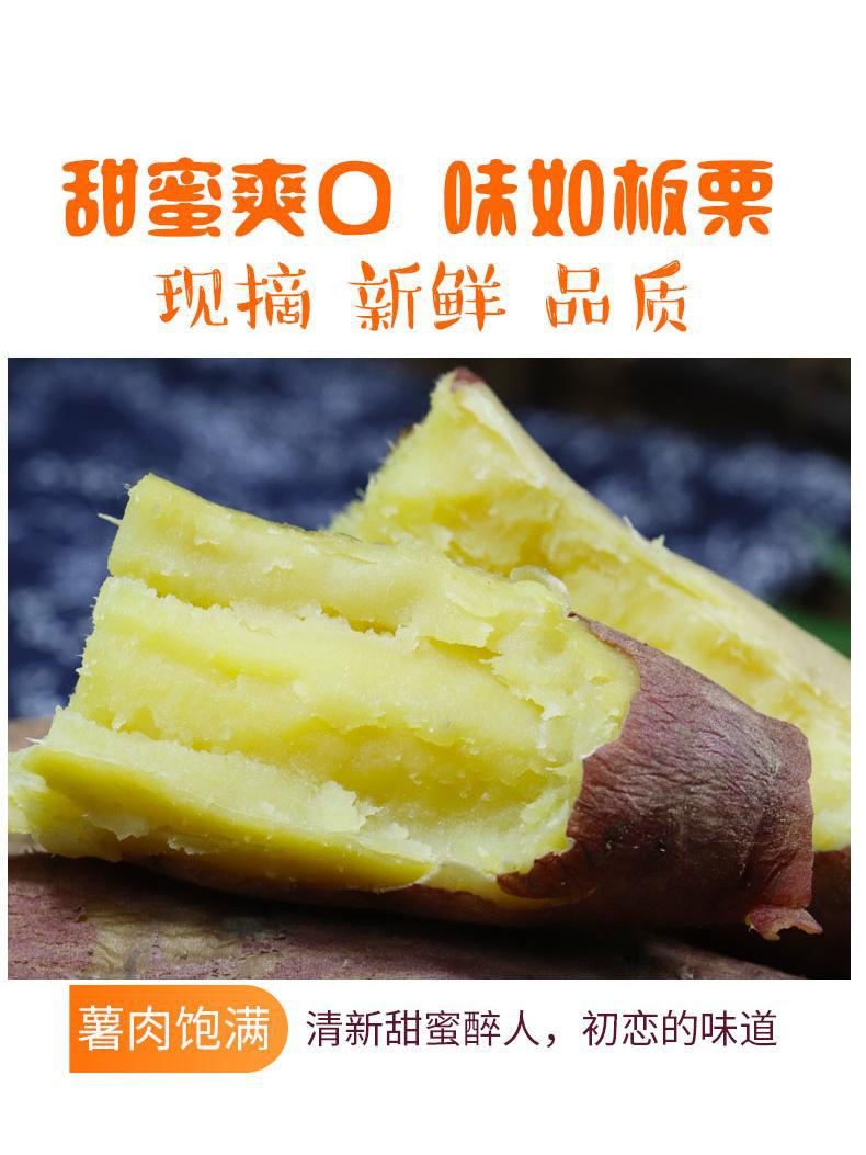 陕西板栗薯红薯新鲜3/5/10斤整箱白薯临潼沙地白心农家番薯小地瓜
