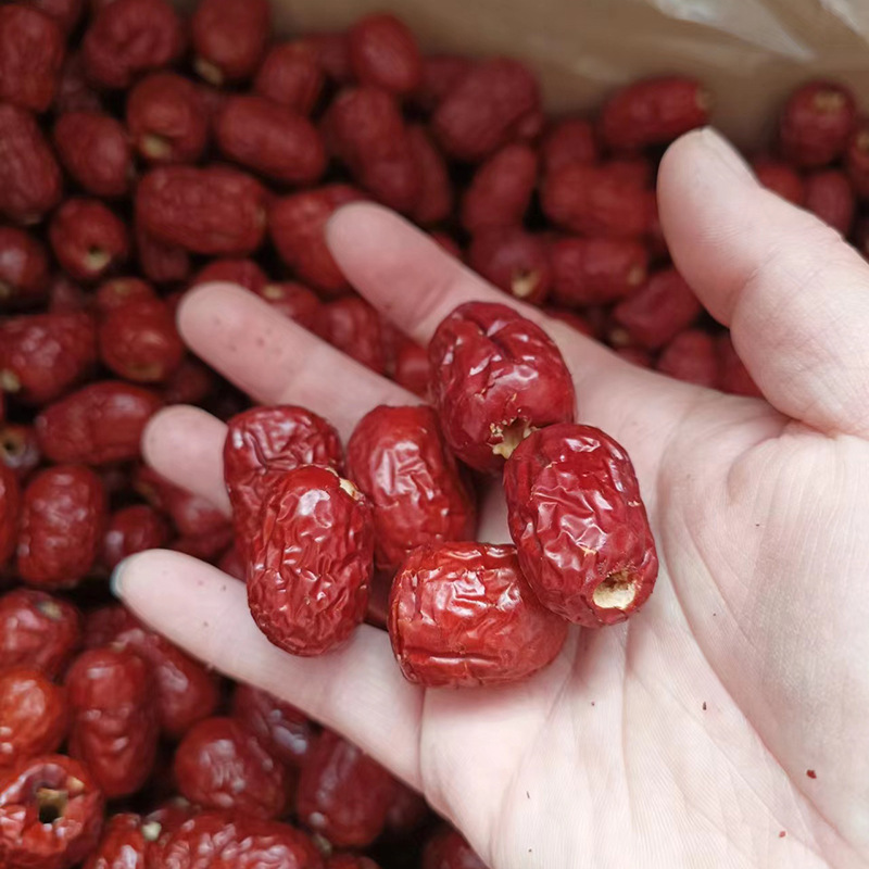 微信图片_20230419152237 拷贝.jpg