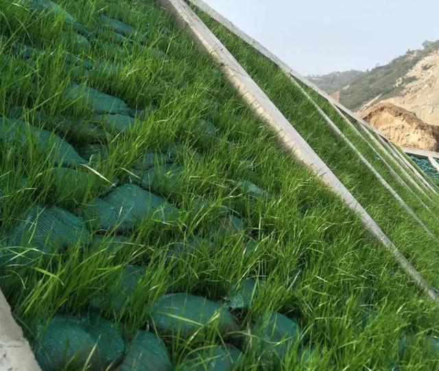 厂家直销护坡绿化带草籽植生袋 生态袋 河道防汛环保土工袋 …