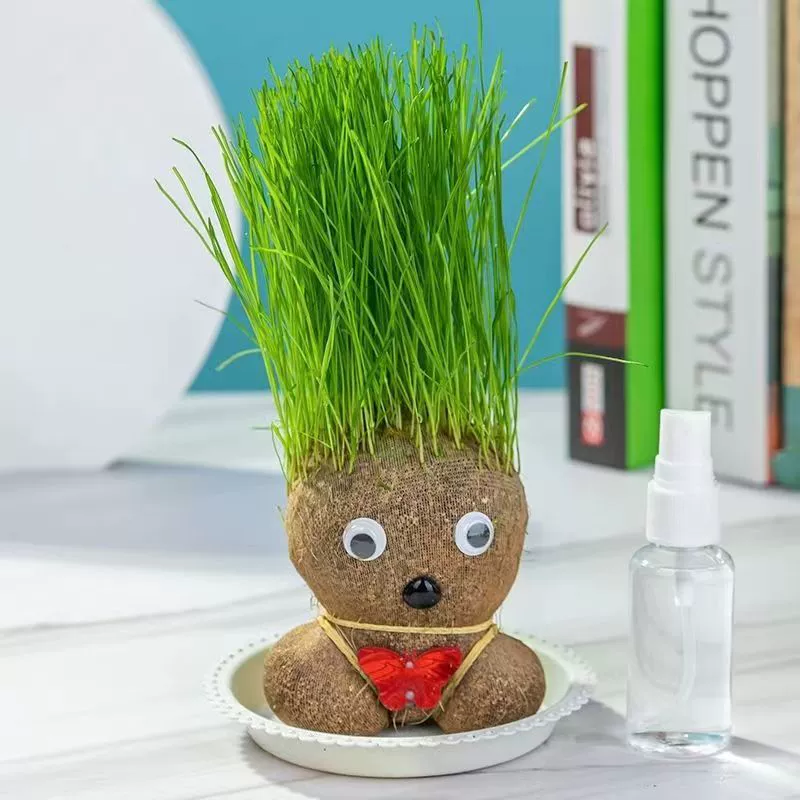 Характерная маленькая детская мультяшная голова куклы, творческое декоративное растение в горшке