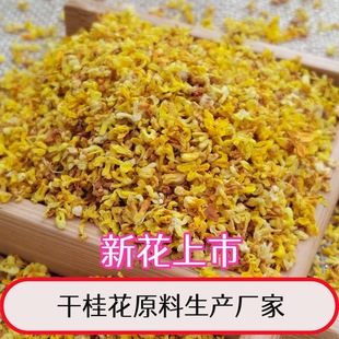 2025¸ɹɢblֽy濾𻨸Դaش؛ֱ