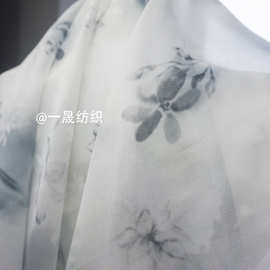 淡雅模糊咤寂风亮光钻石雪纺印花布料薄纱半透中国风中式垂感面料