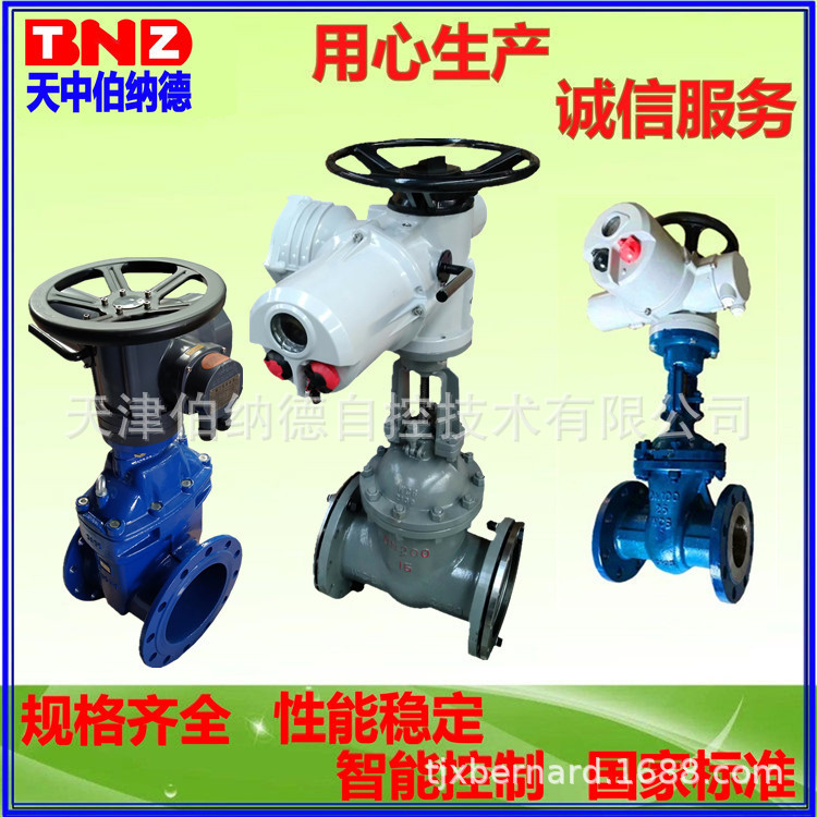 电动闸阀cf65X20016