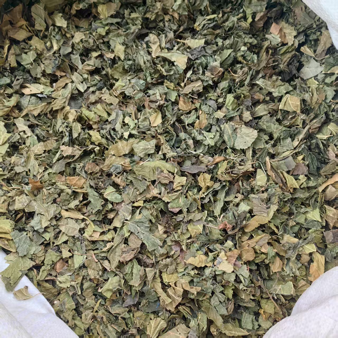 Dried Mulberry Leaves 500g Sang Ye Natural Sun Dried Herbal Tea Leaves quality and texture