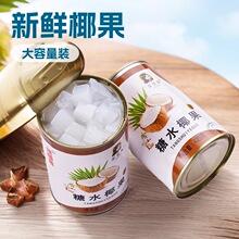 椰果罐头6罐X425g整箱新鲜糖水午后水果罐头水果捞餐饮儿童零食