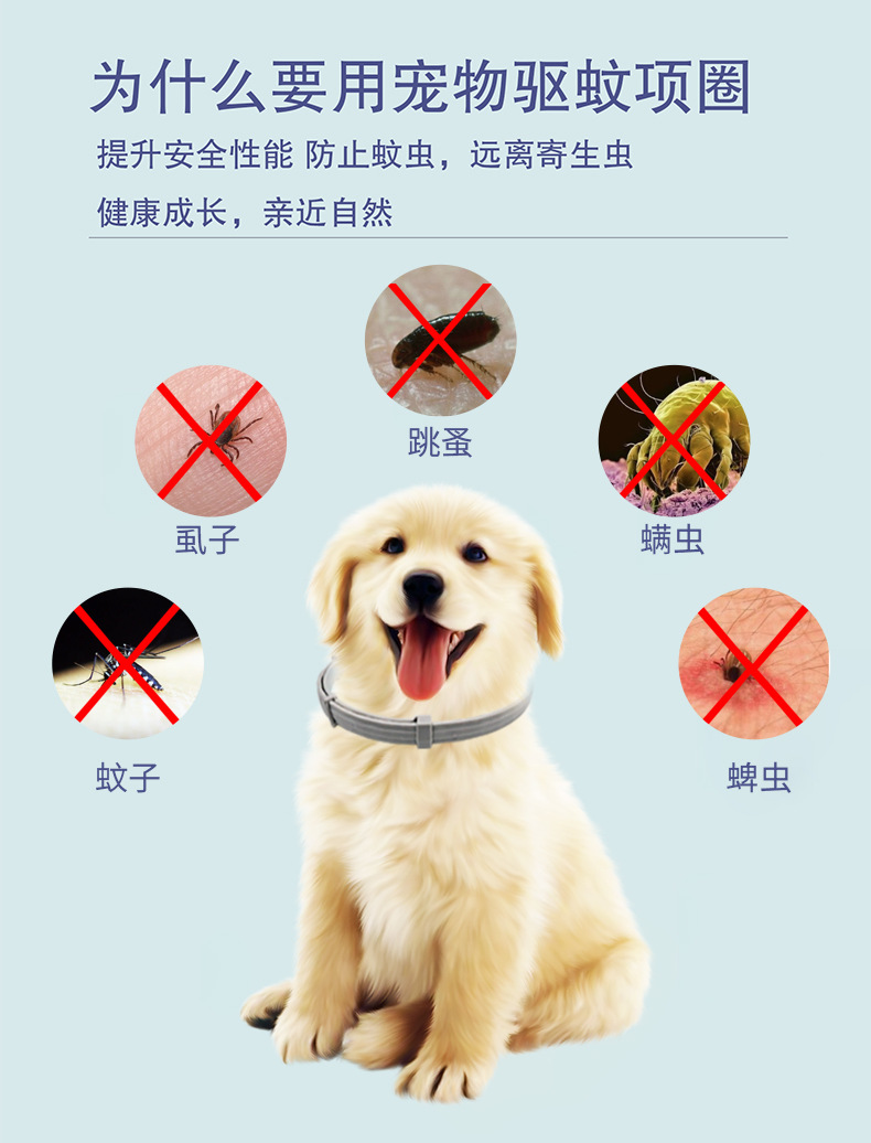 QQ图片20210813104350