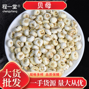 ��؛ؐĸ�a��؛Դ��ș�����l��ؐĸƽؐĸ���NҎ��F؛�ٰl�нӴ�