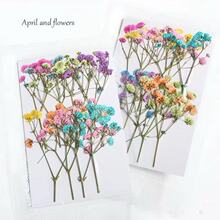 �M���Ǹɻ��������ldiy�����z����Ѻ���b�֦��Ѻ�˱��滨