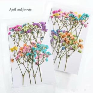 �M���Ǹɻ��������ldiy�����z����Ѻ���b�֦��Ѻ�˱��滨