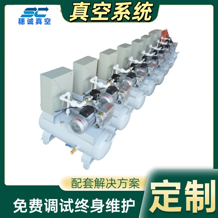 一体式真空泵站SCXT-200 量身D制的抽空泵绿色低耗能超省电 穗诚