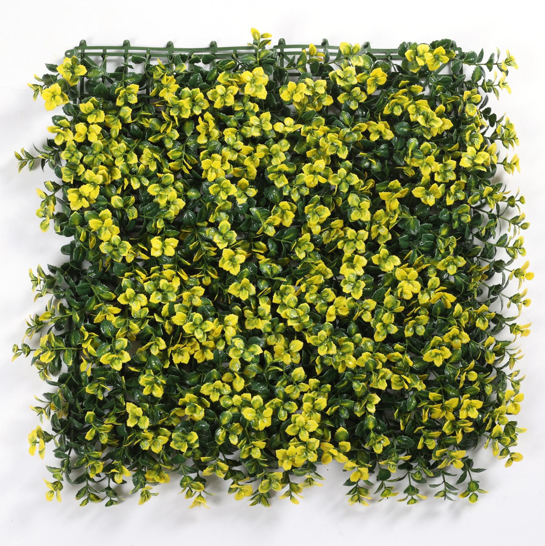Yellow lucky grass