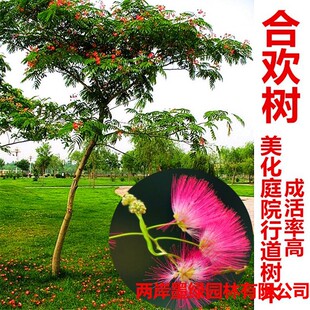 �Ϛg����Ϛg��q������ܽ�ػ�����ͥԺ���ԾG�����̻���Ϛg����