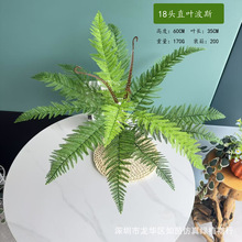 �羳����ɢβ���~�ٻ����l���滨���컨���b��÷���Gֲ�F���~