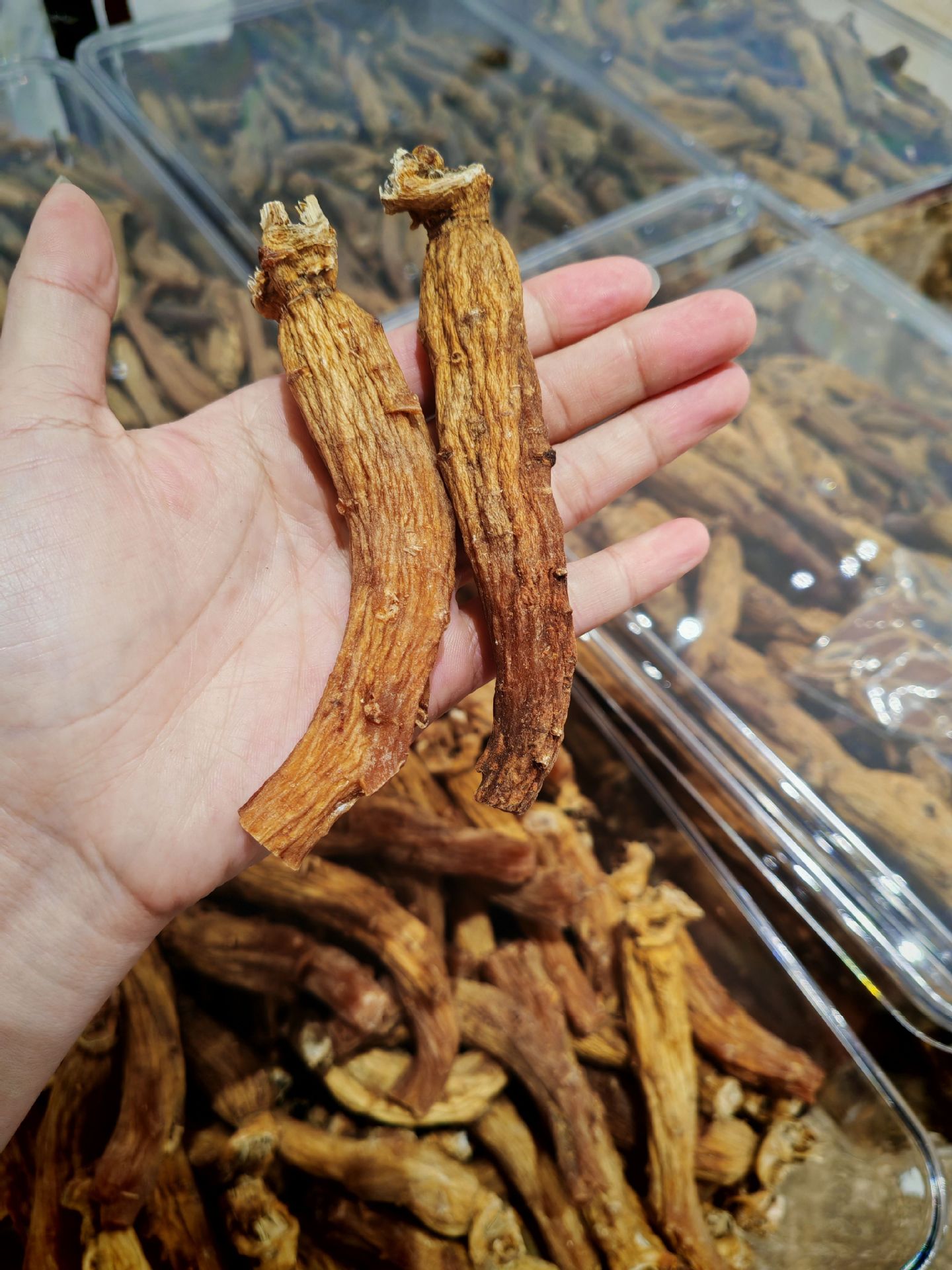 Korean Red Ginseng Goryeo Ginseng Whole Roots 250g Sugar-Free Non-Steamed Dried Panax Ginseng for Slicing Grinding and Daily Herbal Use specifications