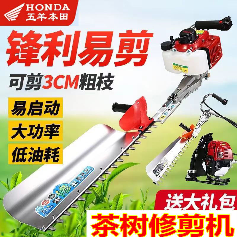 五羊本田茶树修剪机割茉莉花机横县绿篱机四冲程汽油机园林修剪机