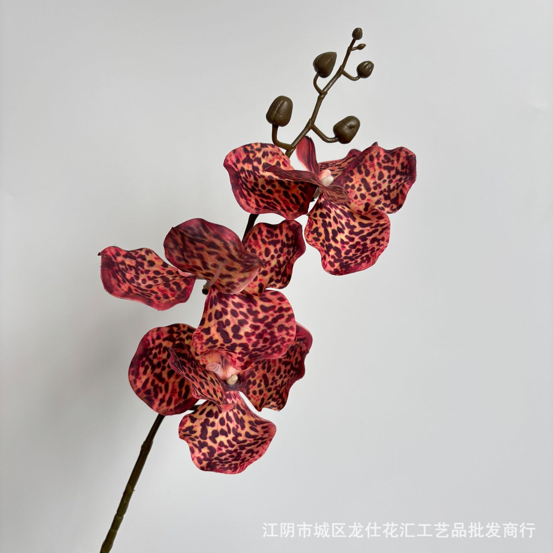 3 헤드 필 밴다이 란카 옐로우