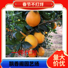 ���Ә���ɳ�ǽۘ��ĕ�ɰ�ǽۘ������ӟo�џo�˼޽ӹ�����̽���