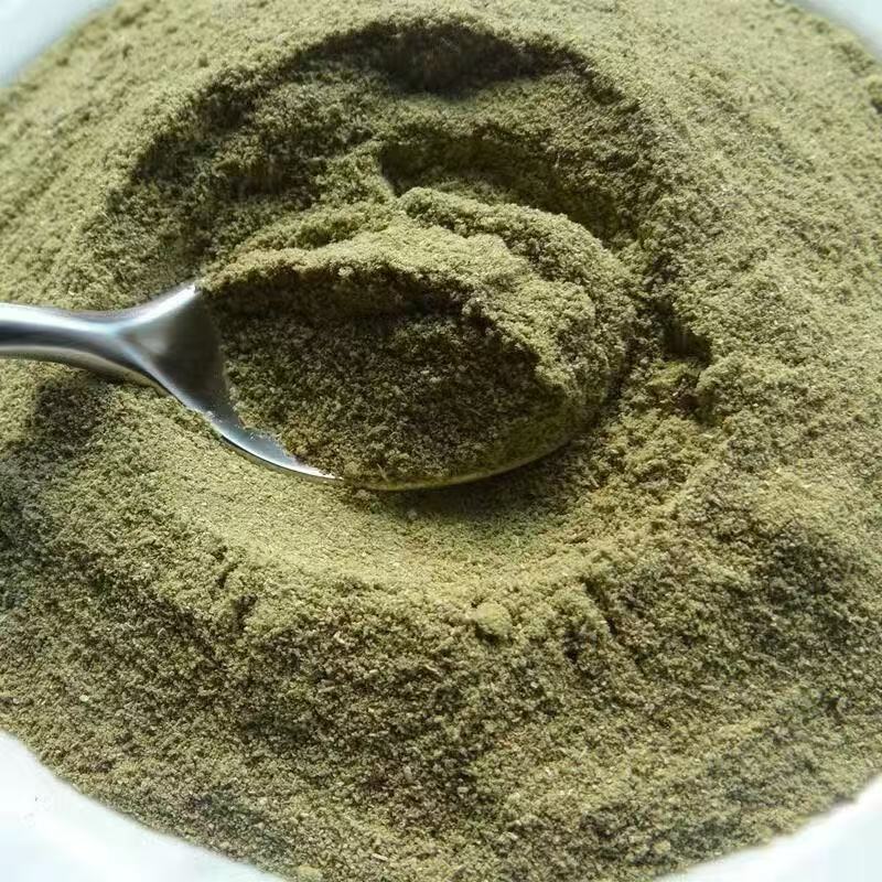 Rosemary Powder Fine Ground Culinary and Herbal Use 500g in use