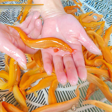 С~~絭ˮ~q~^p~Sˮ~q