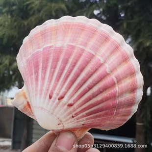 ��Ȼ����ؐ��DIY�ֹ���ɫؐ�����N�~���쾰�b�ؐ���ͱPؐ��