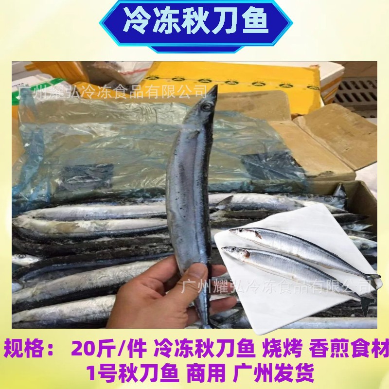 秋刀鱼20斤/件烧烤干水秋刀鱼单冻香煎油炸秋刀鱼食材1号秋刀鱼