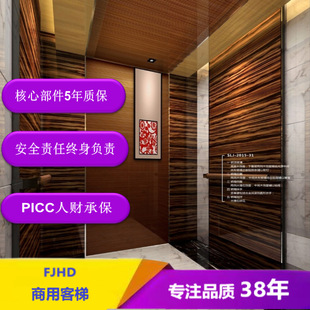 Luxurious Guest Ladder Five-Star Configuration Intelligent Silent and Comfortable 1000 Type Commercial Passenger Elevator