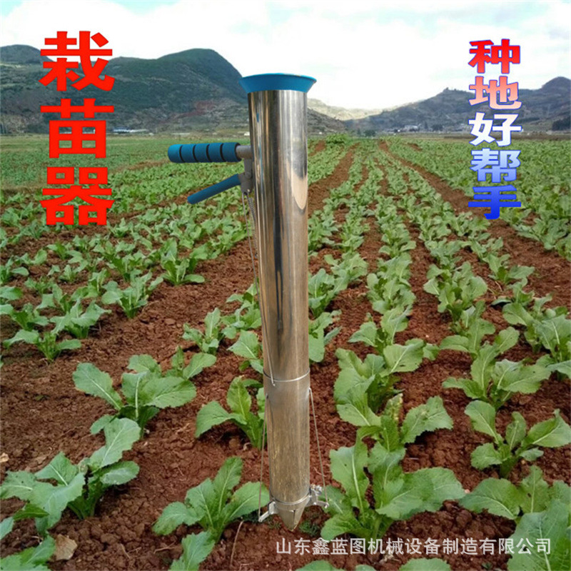 TB2G2d.ekSWBuNjSszdXXbeSpXa_!!