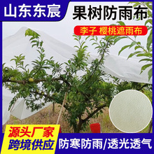 ���ә��ҹ�����겼��ɫ��˺�����r��������o����������x���겼