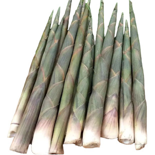 ����С��S�������rҰ����S�������]�a��ֱ�lС��Sһ�����l