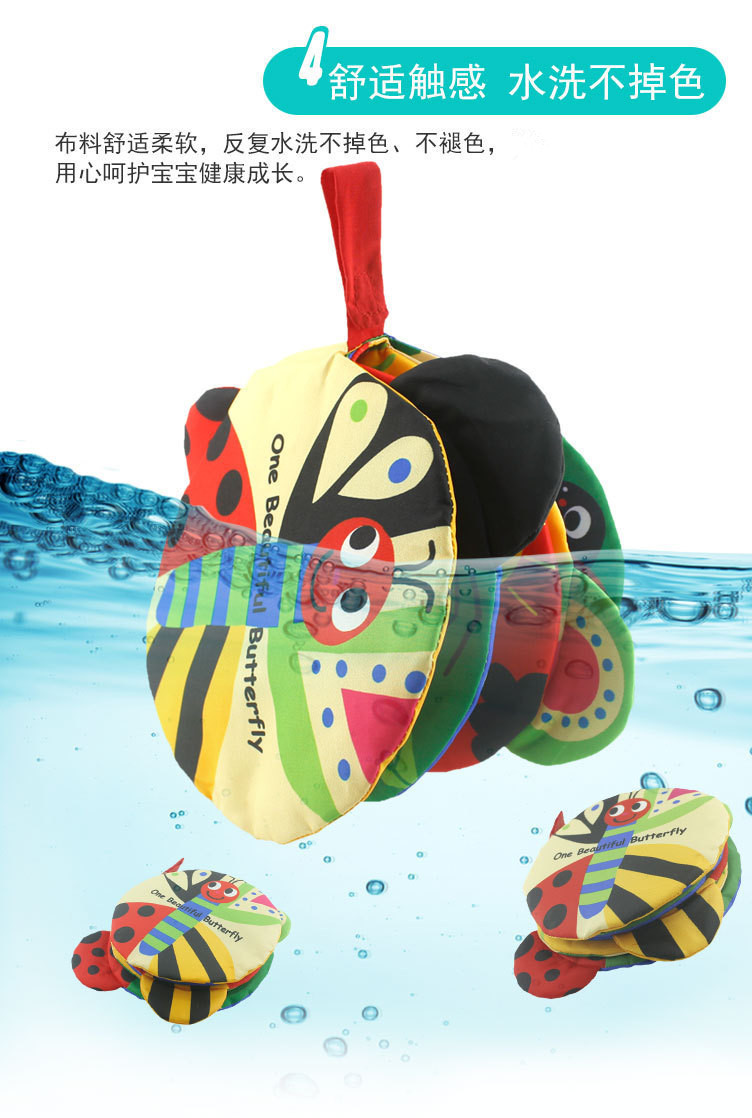 英文蝴蝶详情 (5)