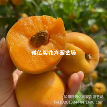 �ش��Ә��糬����ˮ���������ϱ����Nֲ���Ե����ͺ�����Y��