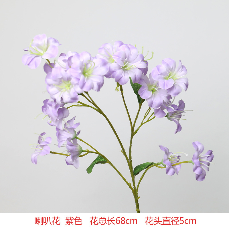 나팔꽃 (신상)
