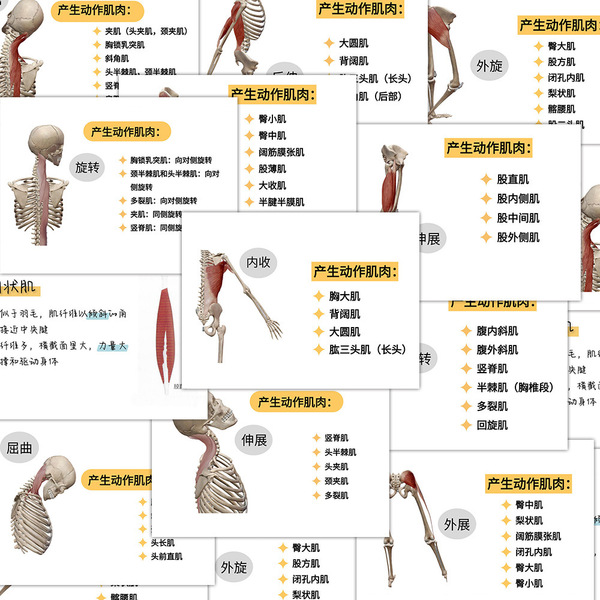 Physiological sticker