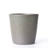 Xiao Wen Cup/Tao Green