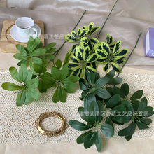 GֲG~3uX cƵ겼ò廨ָzlؔ~羳Q