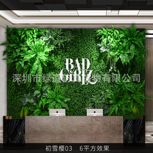����ѩ��03������ֲ�1ƽ���ٲ�ƺ����������ֲ��������m�G�~
