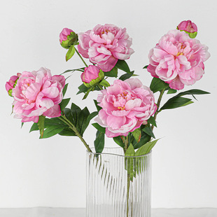 �����֧2�^�P��ĵ��ɽ�軨�L֦���滨�ٻ��b[���ҾӾƵ�