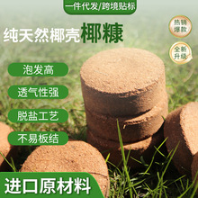 30mm��Ҭ���K����K���Q���N���sҬ���I�B���I�B�K�@ˇ���ԷNֲ