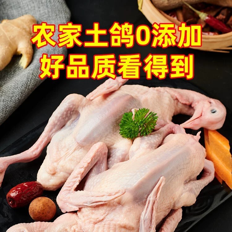 4 fresh pigeon breasts, fresh and frozen, not from old or wild pigeons, farm-raised, freshly slaughtered, semi-finished product