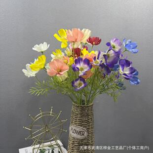 �羳���滨��˹��6�^С��ɣ�zӰ���߻�c�Ҿ��bٻ��S�����l