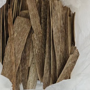 ��Ȼ��Ƭ��Խ�ϳ���Ƥ�����l�域�l���z������֬����ľ��Ѭ����