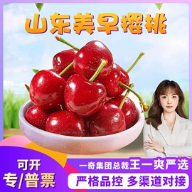 瓜果类;苹果;西式糕点