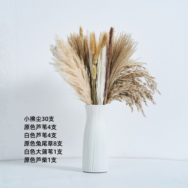 アマゾンはよく売れています。葦の花の花束です。|undefined