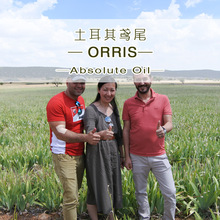 土耳其鸢尾净油原料单方精油批发Orris Oil我们提供原产地证