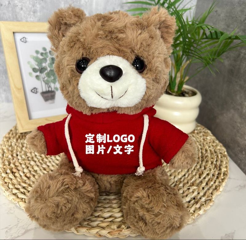 公仔小熊换衣服T恤校服毛衣娃娃毛绒玩具玩偶来图来样印制logo|undefined