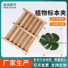 ✅全套带吸水纸瓦楞纸木条式树叶夹 木质植物标本夹 生物科学教学