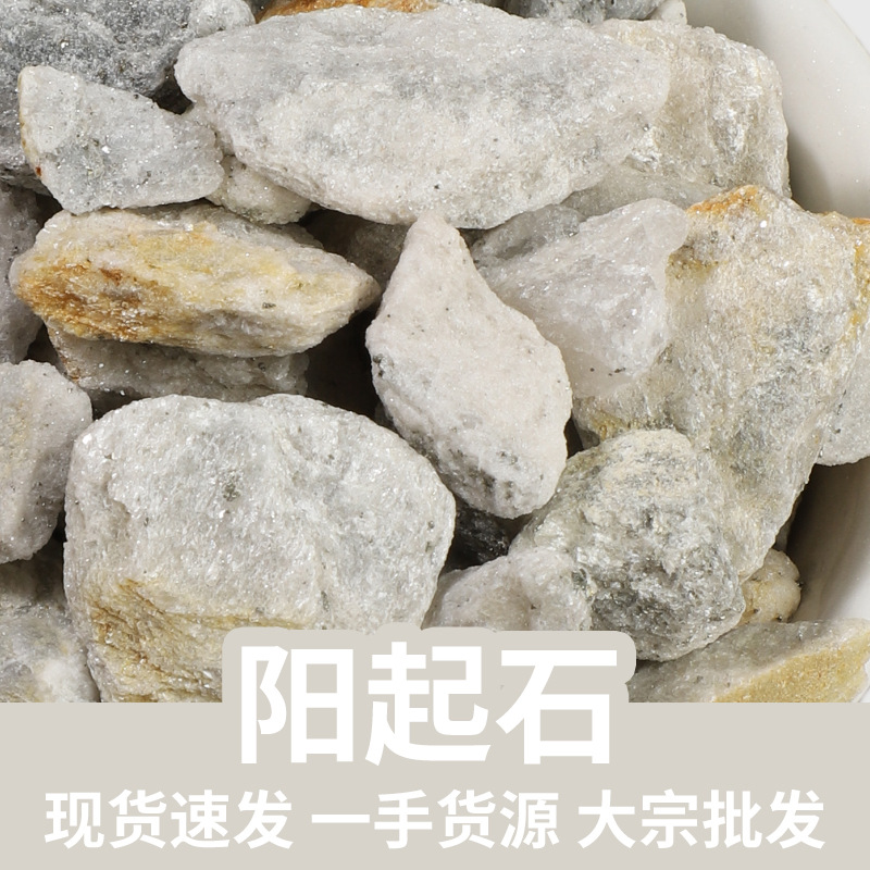 Yang Qi Shi Actinolite Mineral 500g Dried Bulk Traditional Chinese Herbal Material key features